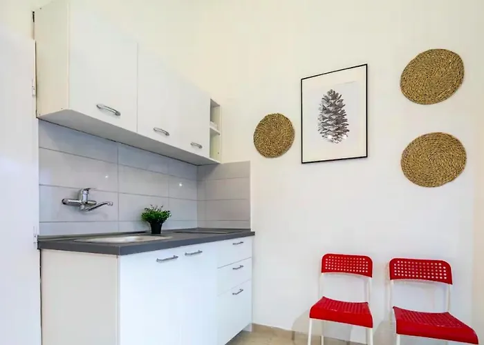 Pluto * בודפשט